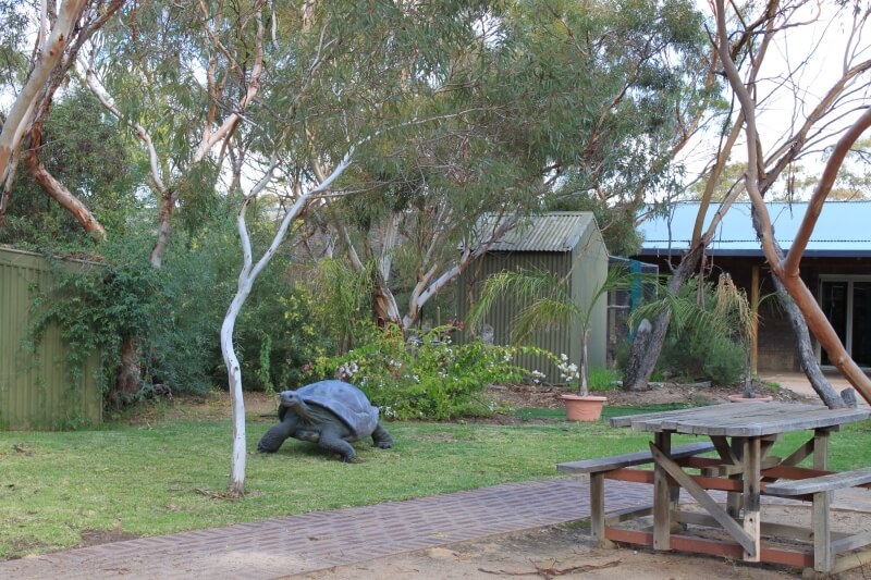 Wildlife-park-sitting-area-web